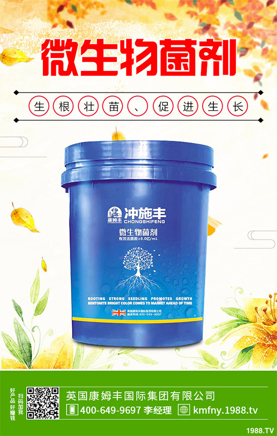 我國南方該怎樣種植藍(lán)莓？藍(lán)莓高產(chǎn)種植技術(shù)要點(diǎn)