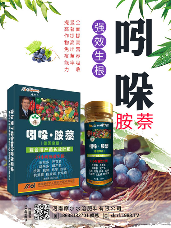 煙草主產(chǎn)地在哪里，煙草種植方法有哪些？