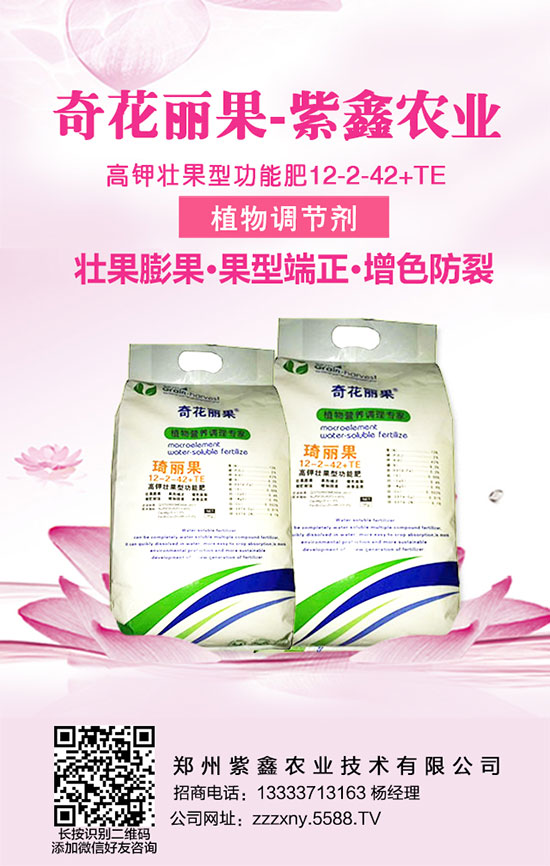     �v�^���껯���߄�(sh��)�����ȟ����������