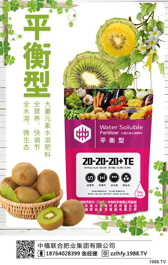 你知道什么是洋薊嗎？洋薊大概多少錢一斤？快來看看