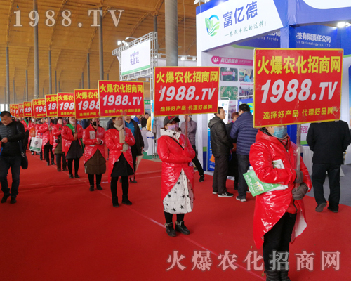     2019�ӱ�ʯ���fֲ����(hu��)�ϻ��r(n��ng)���W(w��ng)��Ӣ�ɳ�������(zh��n)��(j��)��