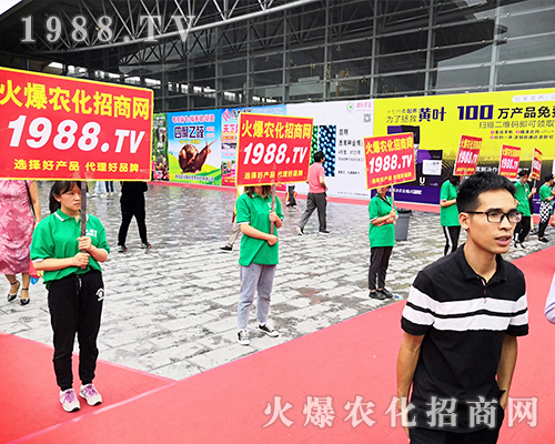     ���r(n��ng)�����̾W(w��ng)��2019�����r(n��ng)�Y�������G�ؼ����ի@�M�M