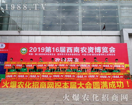     2019�����r(n��ng)�Y���[�������r(n��ng)���W(w��ng)�������o̎����