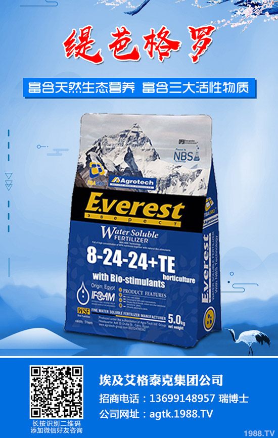 茄子什么時(shí)間育苗？茄子育苗方法