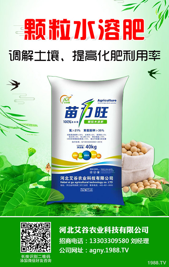     2019��8�µ����܇���(n��i)һ�@�Ј��r(ji��)�������߄ݷ����܈�(b��o)