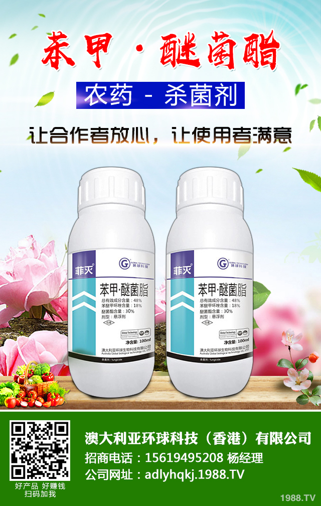 �����ߚ�������ˎЧ������������ˎЧС����