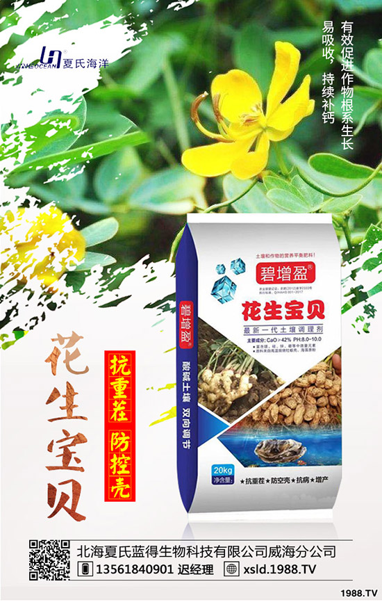 ���{(l��n)���Nǰ����������{(l��n)���߮a(ch��n)�NֲҪ�c(di��n)��