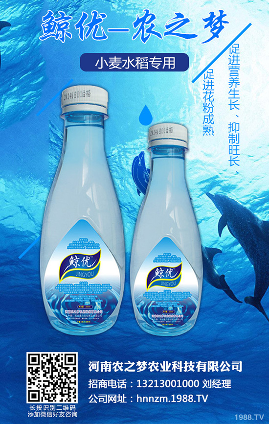 �۲˰߿ݲ�����ЩΣ����ԓ��η������۲˰߿ݲ��İl(f��)���c����