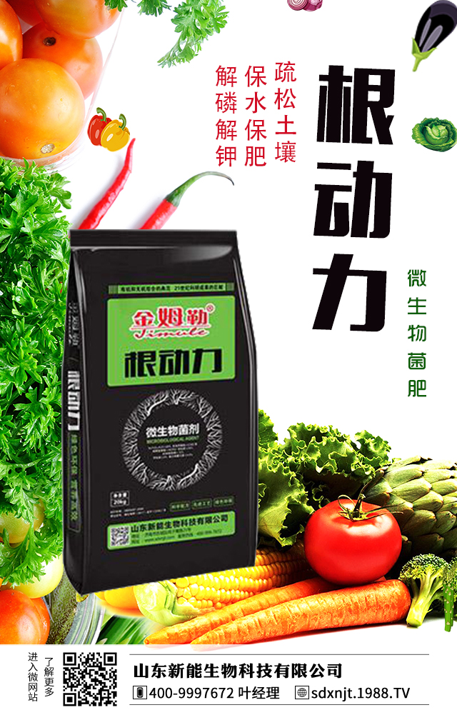 �R������������νo�R���ʩ����