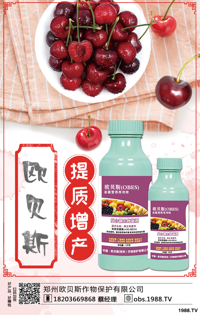 ��������ηNֲ������������༼�g(sh��)