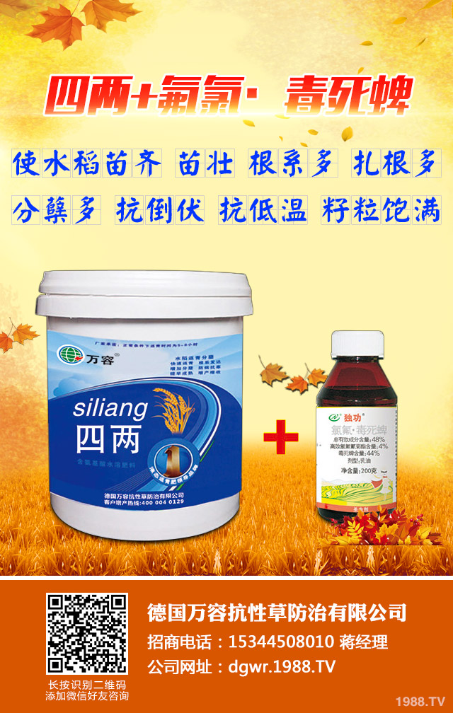 ��������݄�������Щ����������݄���B