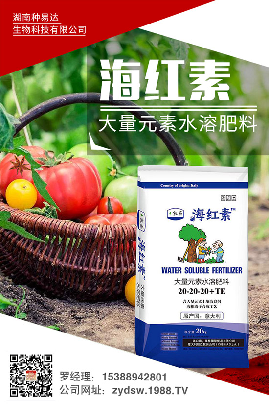 �＾��ݮ��ô�����＾�����ݮ�ĸ߮a(ch��n)���༼�g(sh��)���h(hu��n)��Ҫ��