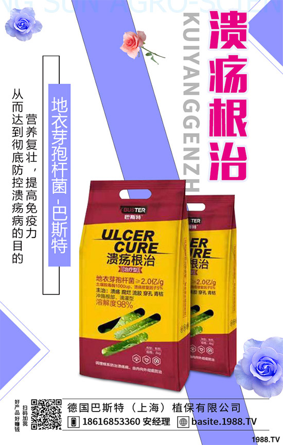 ������һ���Ǽ�(x��)���Բ��������e(cu��)���e(cu��)����Ƚ���������������ɷ����Ν�������