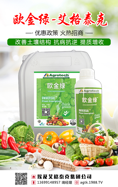 不要盲目施肥了，茶葉需要吃對糧！