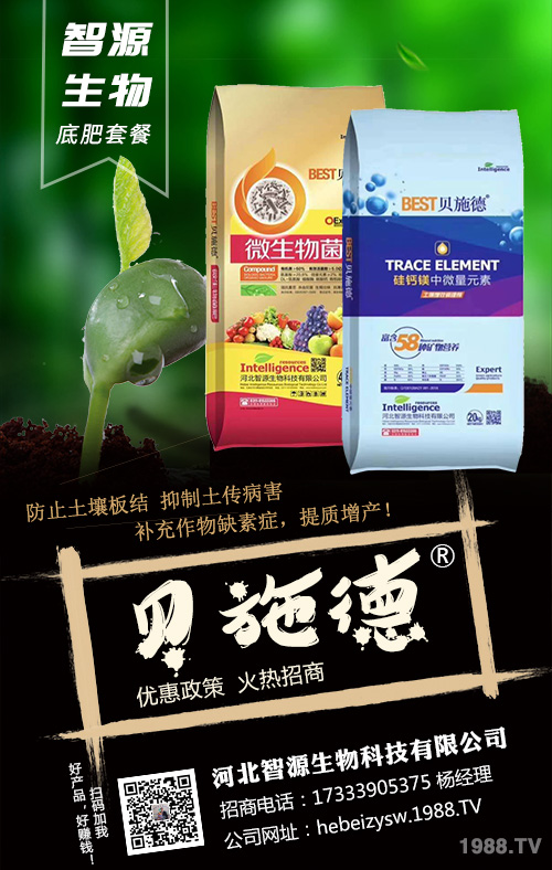 �Nֲ��횿������ǻ��ʣ�׷��ʩ�ʷ���