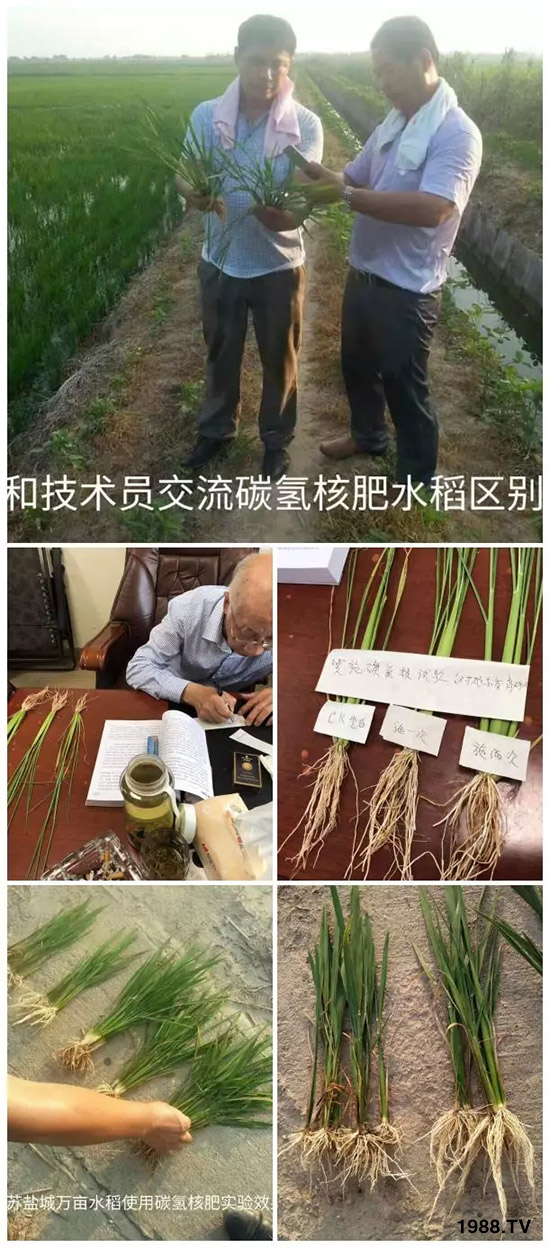 �ϰټ�ý�w��(b��o)�������쳬�^(gu��)�W��ʳƷ��(bi��o)��(zh��n)������̼?x��)�˷ʾ����@ô�𱬣�