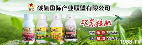 �����������L���߉��������ͷ���Ѹ����������ƌW���L���g�޴���