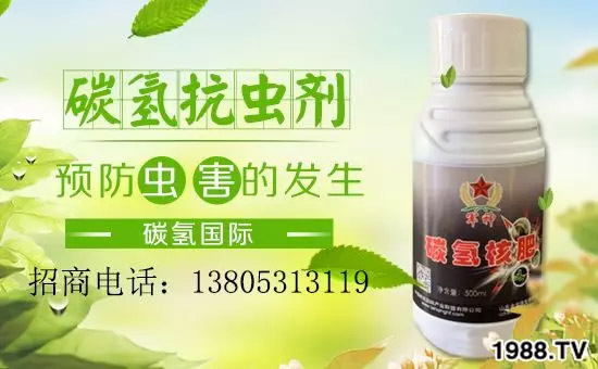 �����������L���߉��������ͷ���Ѹ������������ƌW���L���g�޴���