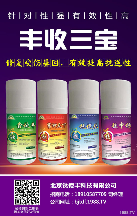 �������ʩ�ʲ��ܸ߮a(ch��n)������߮a(ch��n)ʩ�ʼ��g(sh��)��