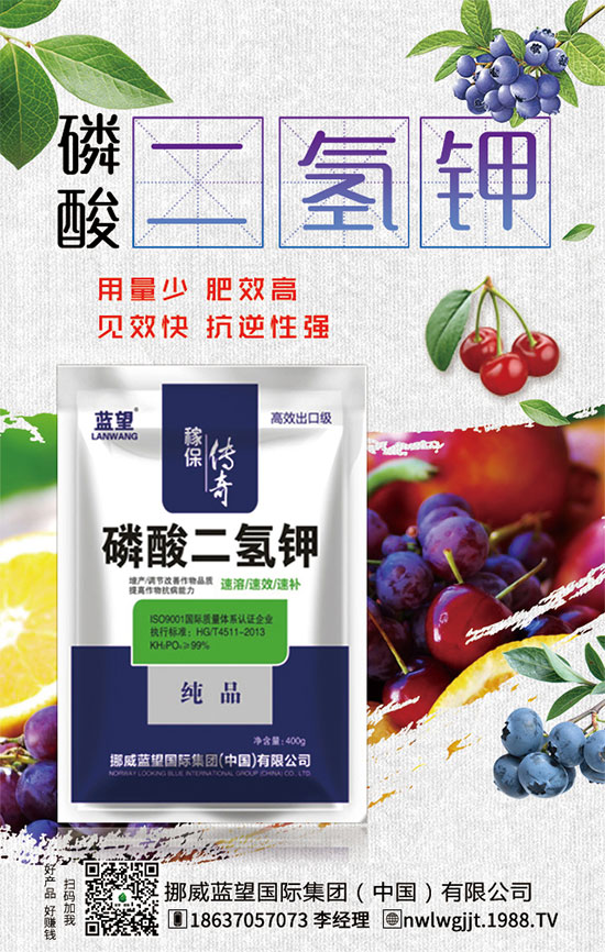 ������t����ֲע�����(xi��ng)��������t������ڹ�������