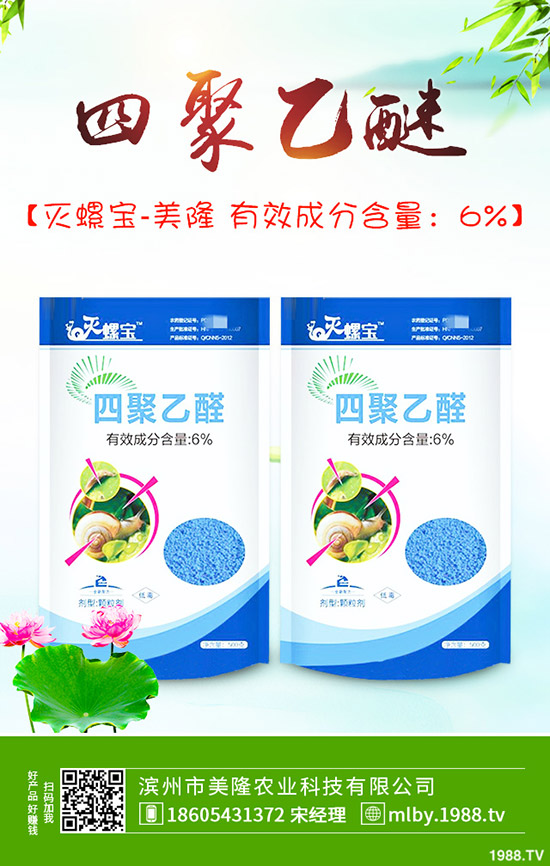 茄子該不該摘葉，茄子摘葉如何操作？