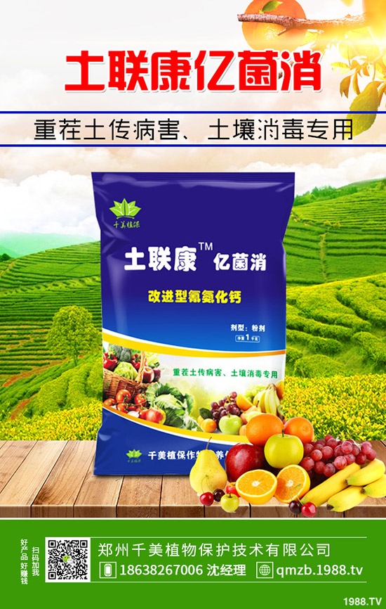     �＾����������ι������＾����������ֲ�������g(sh��)��