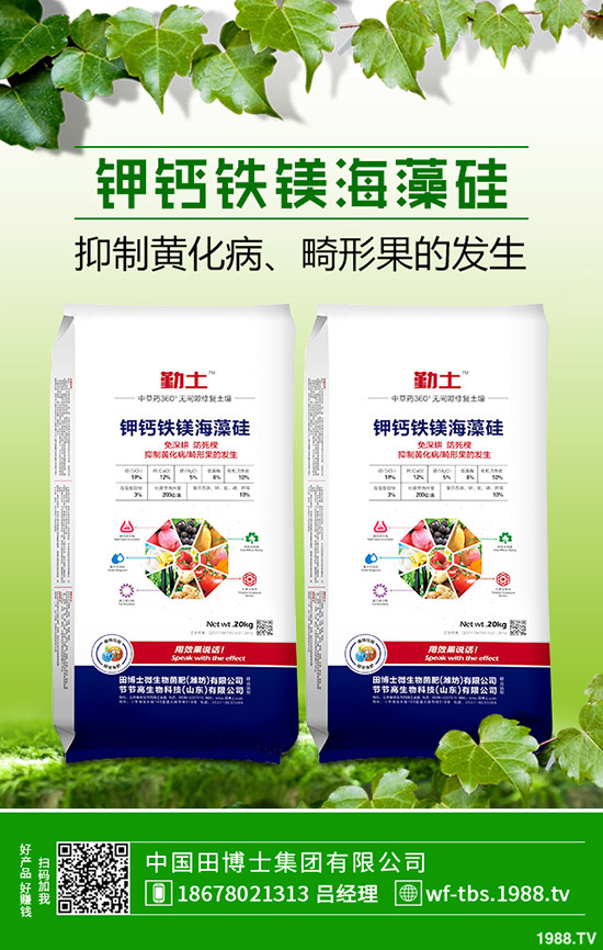 �ﶬ�����S����ηNֲ���ﶬ�S�ϵķNֲ����������������