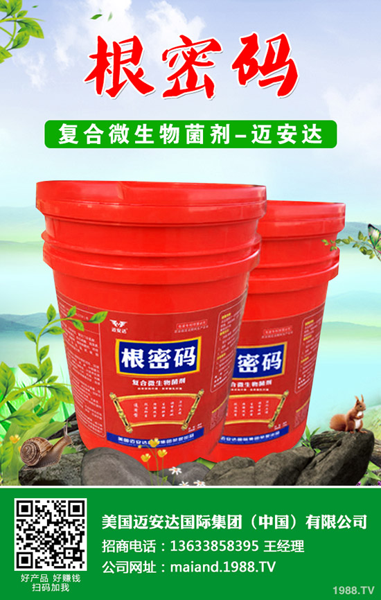 西葫蘆什么時(shí)候種植？西葫蘆種植技術(shù)！