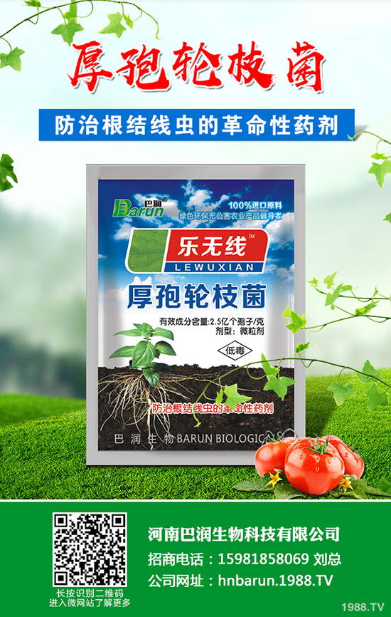 ��֦���~��ô�޼�����֦���~�޼�������