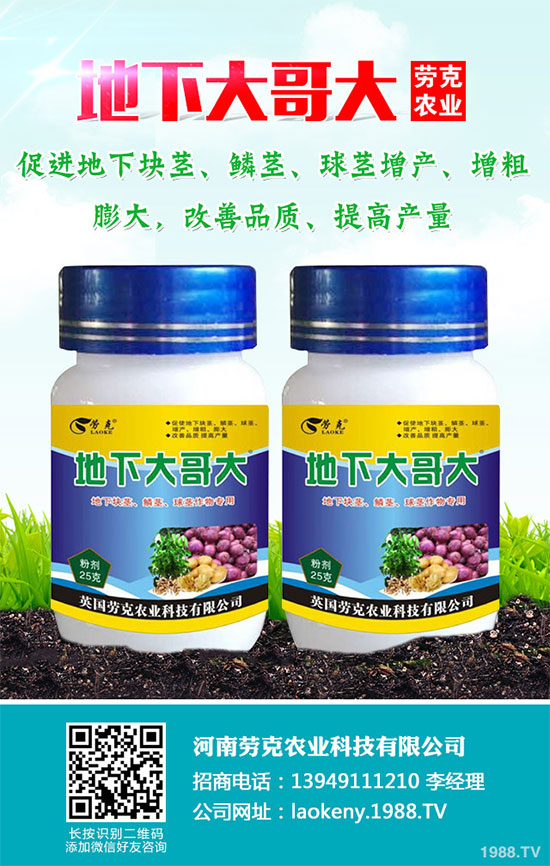 �������Щ�I�B(y��ng)�rֵ���Խ������Щ��̎����˵Ĺ�Ч�c����