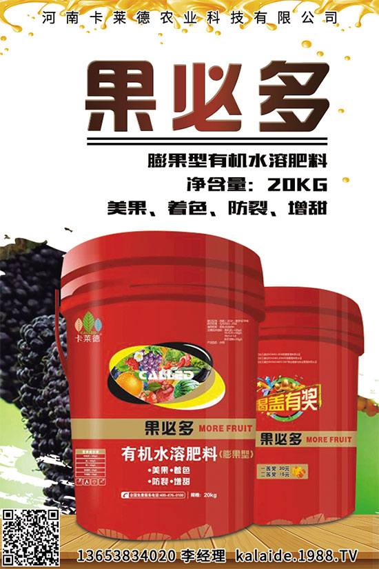 芥菜該怎么吃？常見芥菜吃法及注意事項