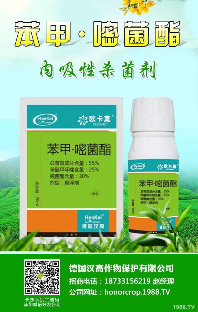 ���[˪ù����ô�k�����[˪ù�����μ���