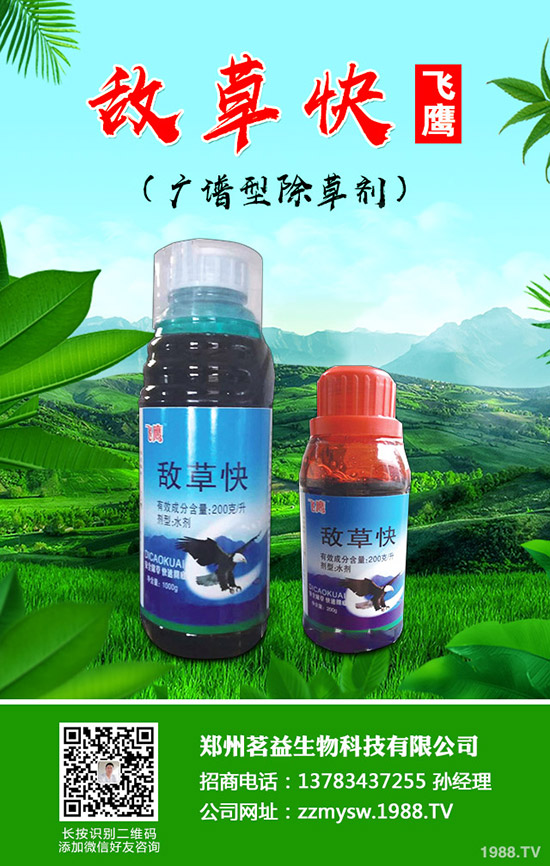 ���ݳ��݄��r��