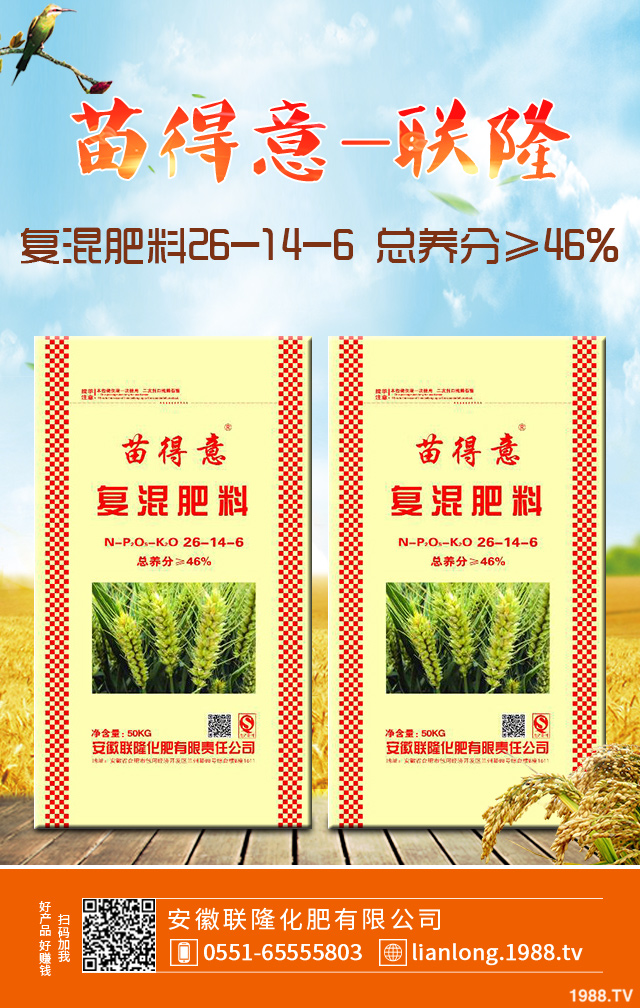 С����ô����Ч������С�����������g����