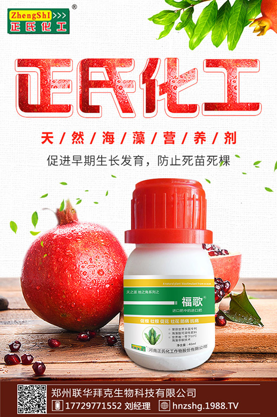 ���y����ʲô���������y���Ĺ�Ч�cʳ�ý��ɣ�