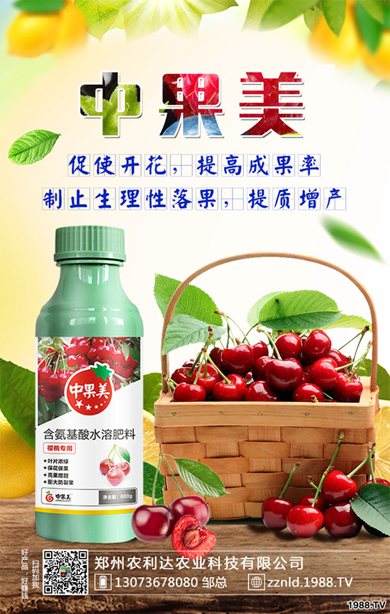 ��ʲô�r��N�Nֲ���𽷷NֲҪ�c(di��n)��