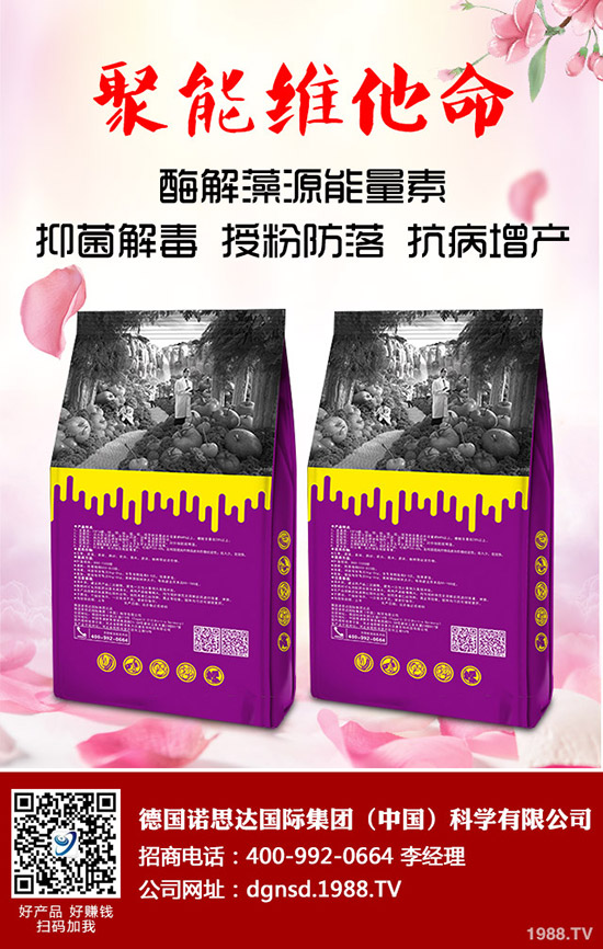 近期國內(nèi)一銨價(jià)格走勢分析及后市預(yù)測2019-9-18