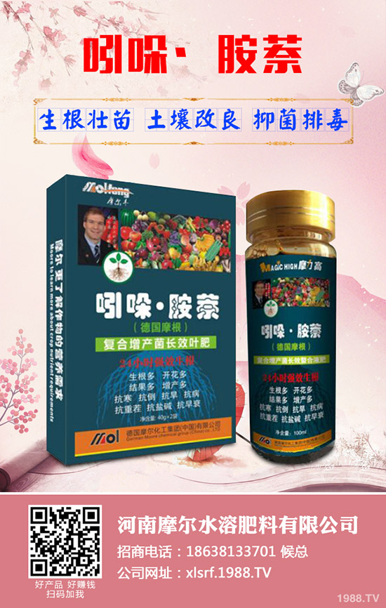 蓮藕怎樣才能高產(chǎn),蓮藕的高產(chǎn)管理技術(shù)