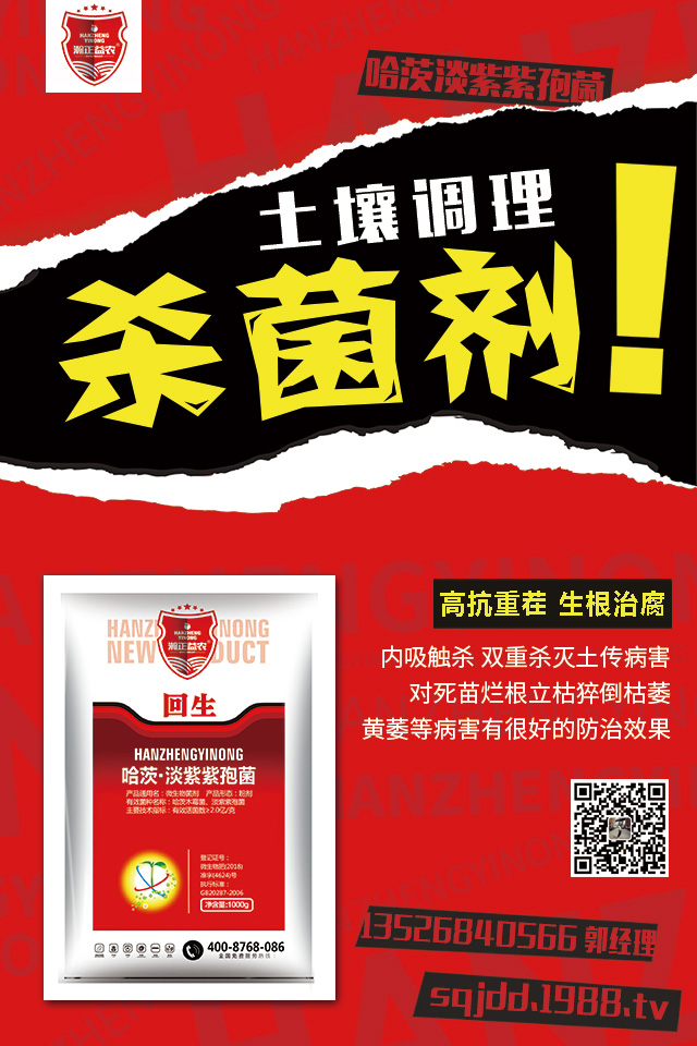 �������߲�Σ�������������߲����μ���