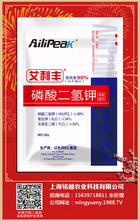 ������ηNֲ�������Nֲ������ע�������