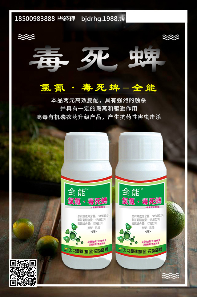 ���ټt֩����ô���������ټt֩����Ч���μ���