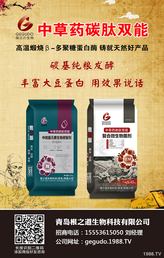     ����ʮ����ʲô����ע�����(xi��ng)�����ӹ���������10�¹���ָ��(d��o)���h��