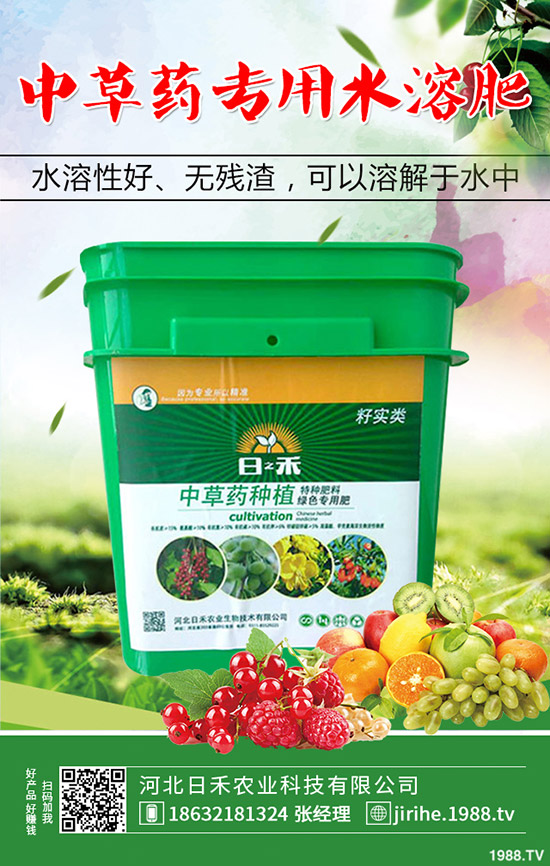 洋蔥種植想高產(chǎn)，種植方法很重要！洋蔥種植技術(shù)要點(diǎn)