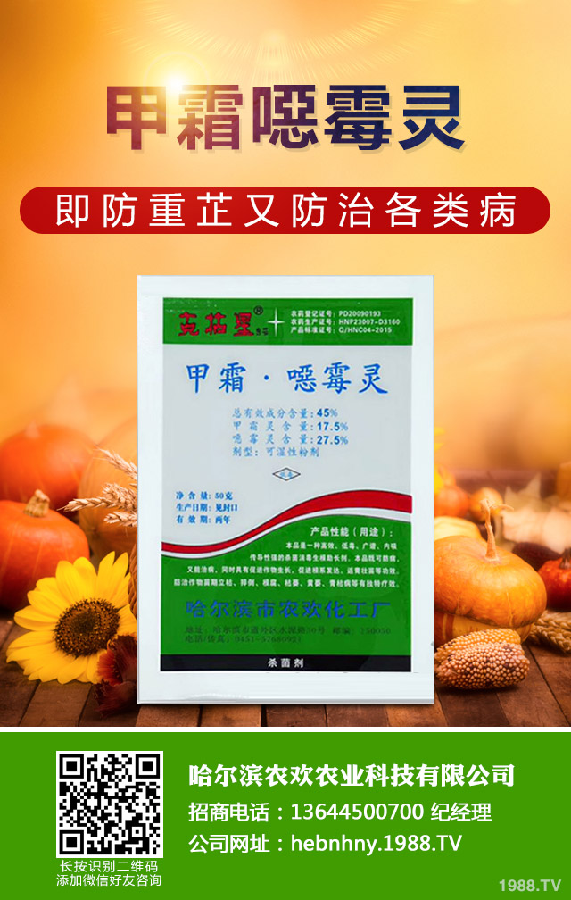 烏塌菜霜霉病怎么治？烏塌菜霜霉病防治技巧