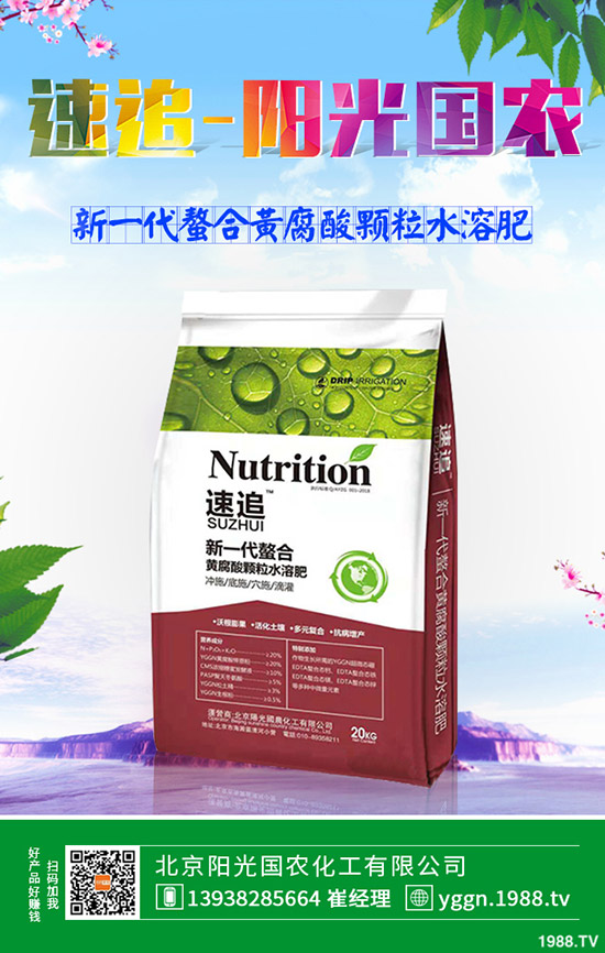     �������ͺϷ��Ј��r�������߄��A�y��Ӎ��