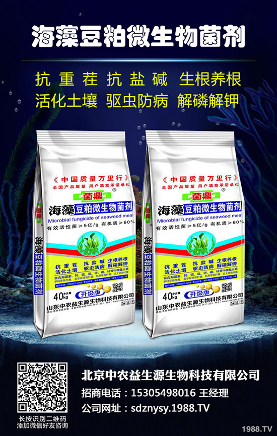     2019��10�µ�һ�����ͺϷʃr�������߄ݷ���