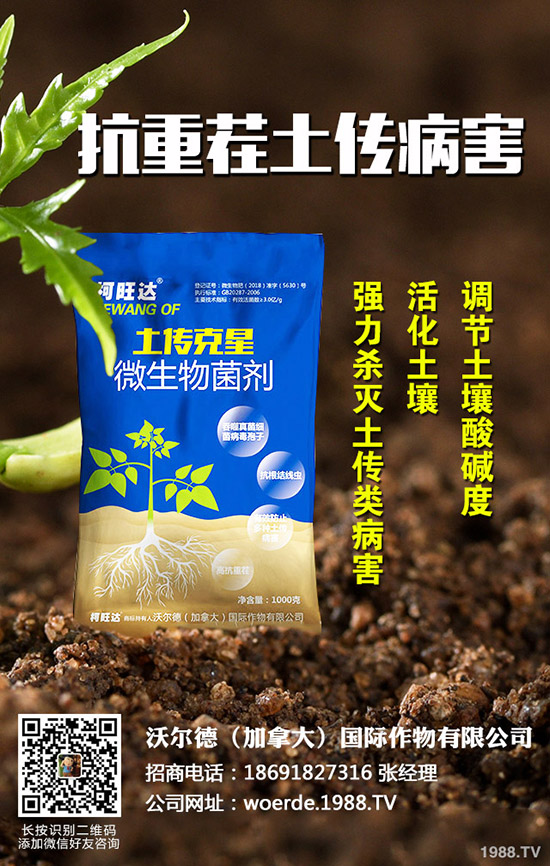 茄子什么時候育苗,茄子育苗的方法有哪些?