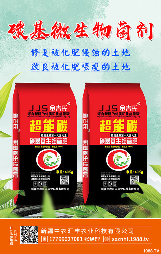 木瓜怎么種植效果?學(xué)會這幾點,輕松大豐收!