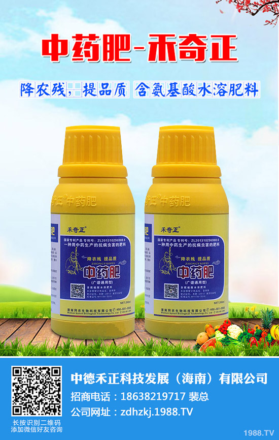 金絲瓜如何栽培，金絲瓜種植小技巧！