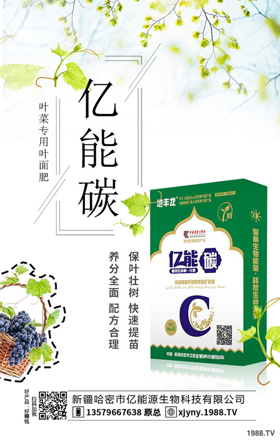 板栗樹怎么種植,板栗高產種植要點!